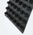 Corrosion Resistance Reservoirs Plastic Drainage Board Hdpe Dimple Board